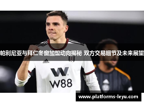 帕利尼亚与拜仁冬窗加盟动向揭秘 双方交易细节及未来展望